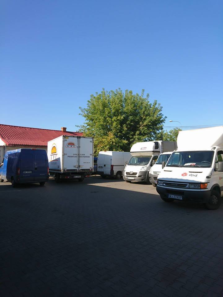 Zdjęcie 8